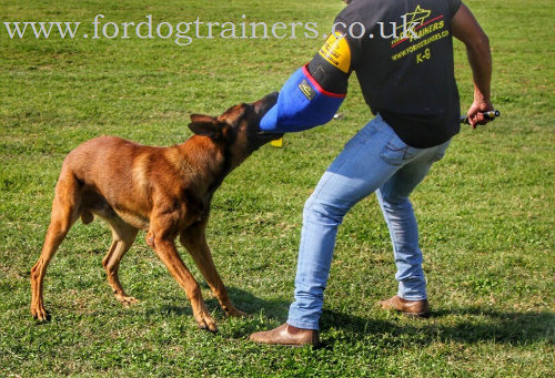 professional dog training bite sleeve